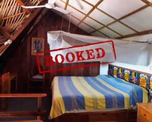 Suite 1 - Shared room