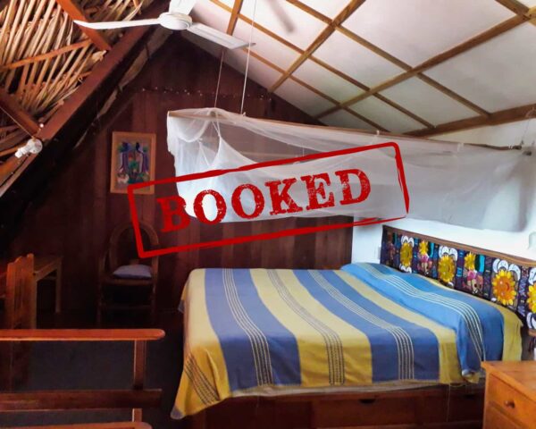 Suite 1 - Shared room